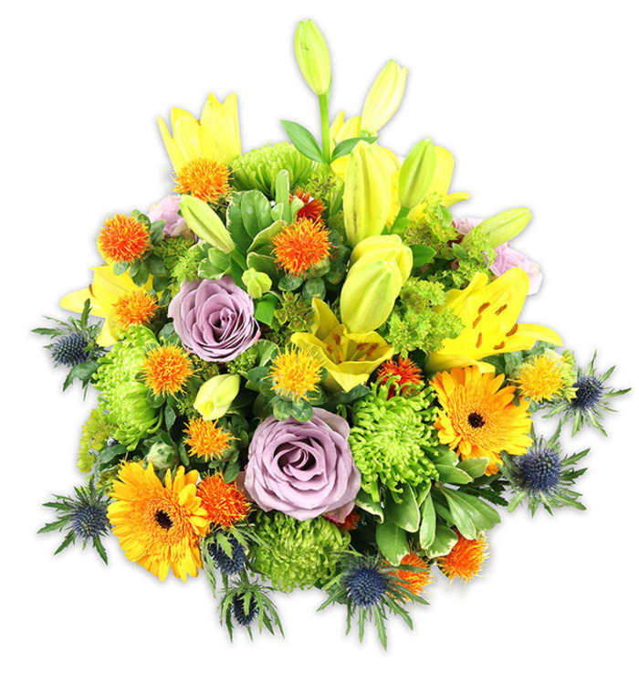 A richly textured, expertly composed bouquet set against pristine white, designed to read as both joyful and refined. Several vivid yellow Asiatic lilies act as sculptural peaks, some splayed open to reveal speckled throats and stamens, others remaining as smooth, pointed buds to suggest movement and anticipation. Two or more soft lavender roses anchor the centre with their gentle spirals, offering a cool, romantic breath amid the energetic oranges and greens. Large, sunlike orange Gerbera daisies fan their flat petals outward, contrasting with dense clusters of lime-green button chrysanthemums that create cushiony, ruffled mass throughout the arrangement. Interspersed are small, bristly, globe-shaped orange and yellow accents that add playful texture, while blue-grey Eryngium thistles appear along the sides and lower edges, their spiky, architectural forms lending a dramatic, almost coastal note. The foliage - broad, glossy lily leaves and assorted filler greens - creates depth and frames the blooms, giving the whole piece a rounded, mounded silhouette. Under gentle studio lighting the colours hold true: vivid yellows and oranges seem almost lit from within, lavenders soften, and the thistles show a cool metallic sheen. The scent profile would likely be a light, sweet lily perfume tempered by green freshness and the faint fragrance of roses. Thoughtful and versatile, this arrangement suits celebratory tables, thoughtful get-well wishes, or quiet remembrances; it's the kind of bouquet often requested for homes and events across Earls Court and nearby Kensington High Street, where residents favour bold colour balanced with refined detail.